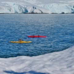 Searching for the Unknown: Kayaking & Camping in Antarctica
