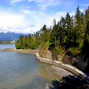 Vancouver’s Top 5 Outdoor & Wildlife Experiences