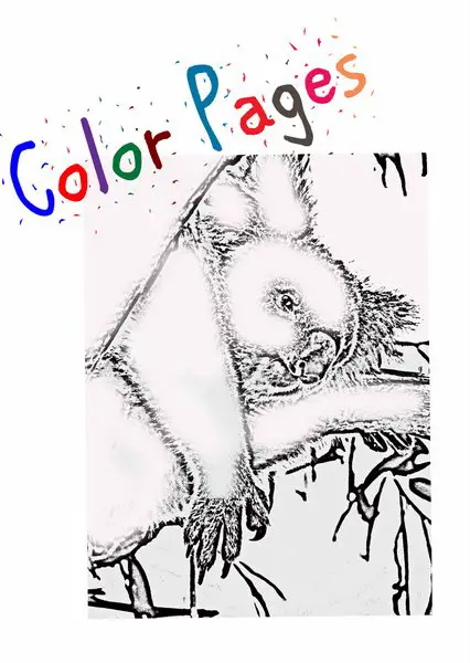 color page rz
