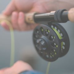 Improve Your Fly Fishing Skills With These 5 Tips