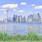 The Best Activities You Can Enjoy on the Toronto Islands